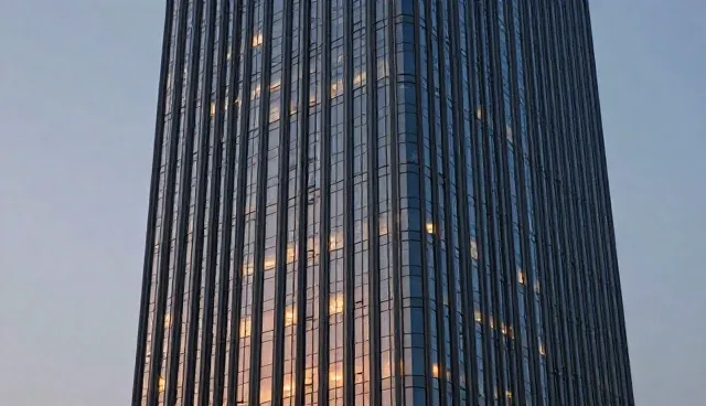 技术支持选型建议：适用场景与限制分析